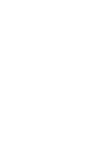 Pandora assistenza
